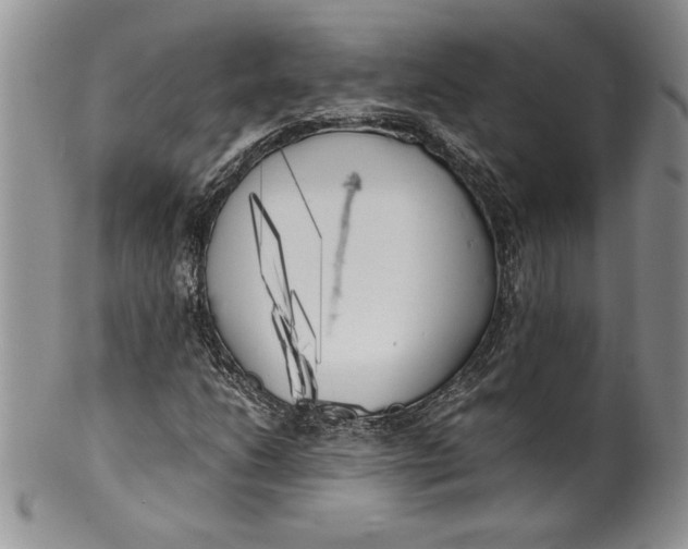 X0000099931206200806131355