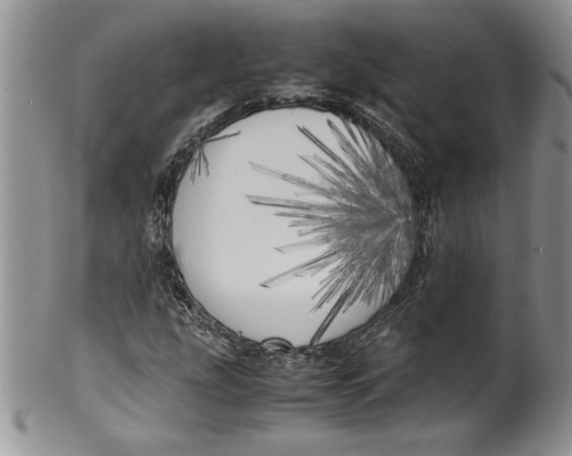 X0000099931207200806131355