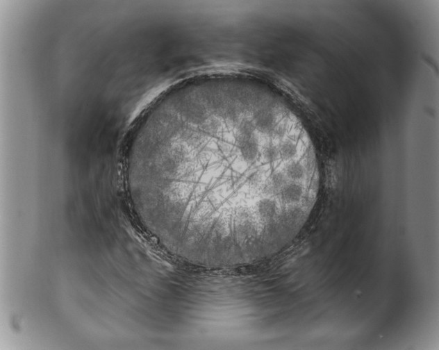 X0000099931208200806131355