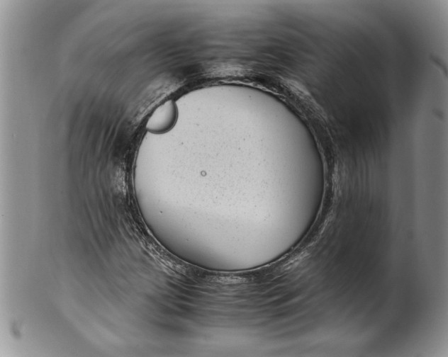 X0000099931209200806131355