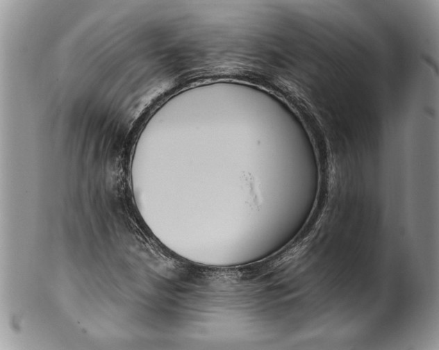 X0000099931210200806131355