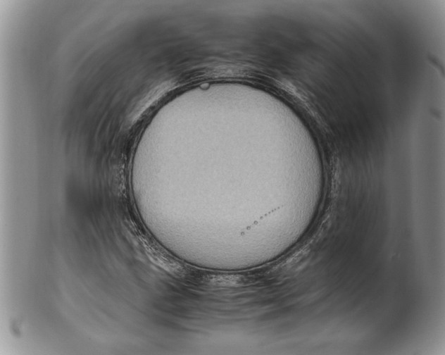 X0000099931211200806131355