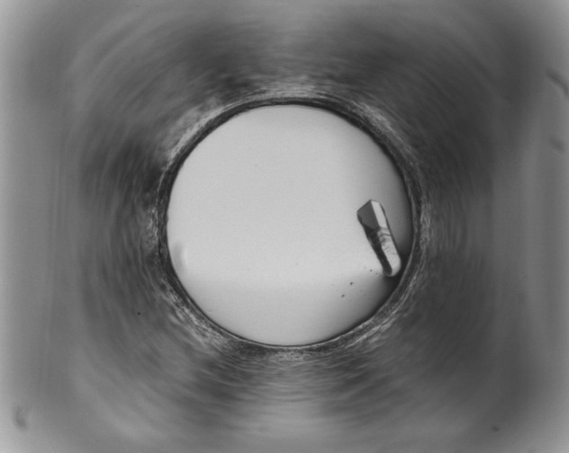 X0000099931212200806131355