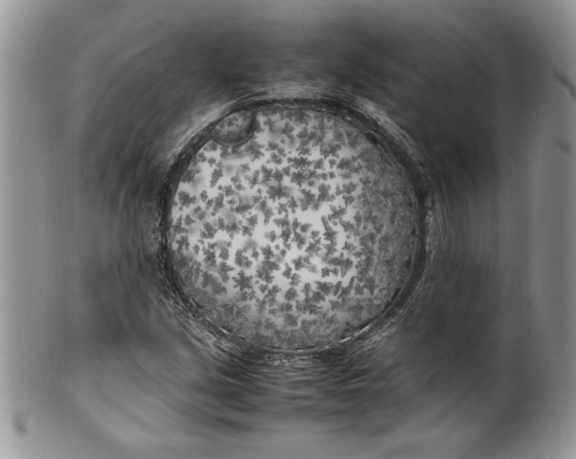 X0000099931213200806131355