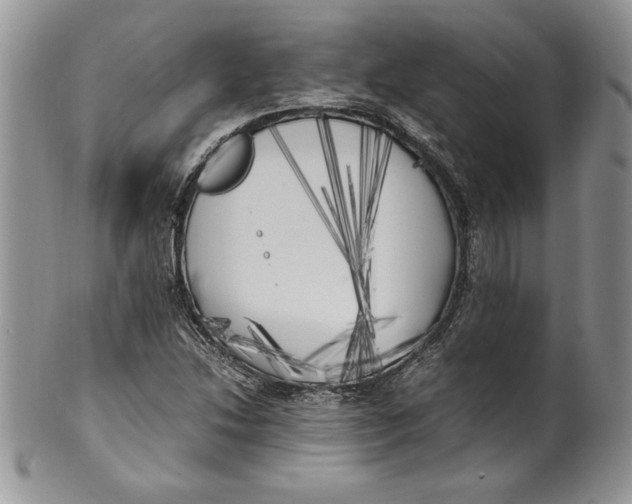 X0000099931214200806131355