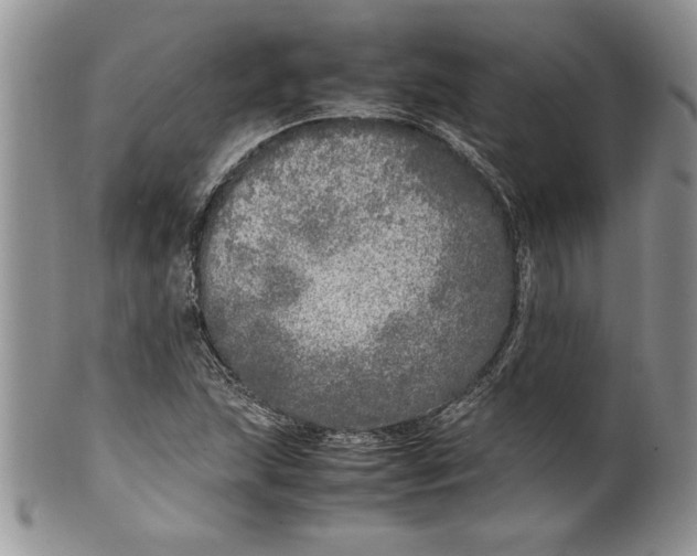 X0000099931215200806131355