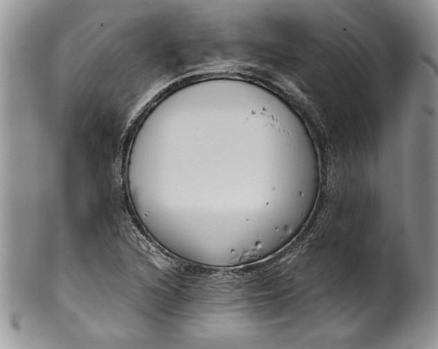 X0000099931216200806131355