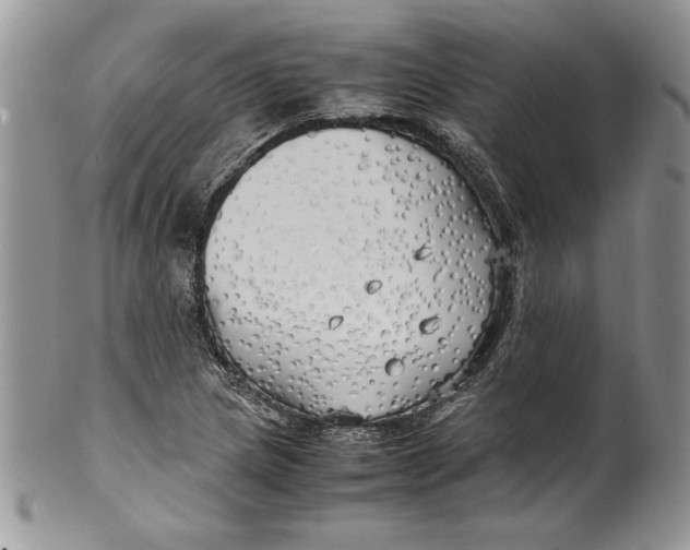 X0000099931217200806131355