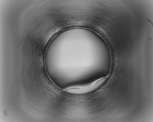 X0000099931218200806131355