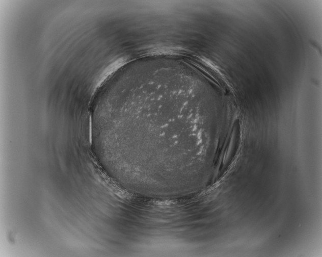 X0000099931219200806131355