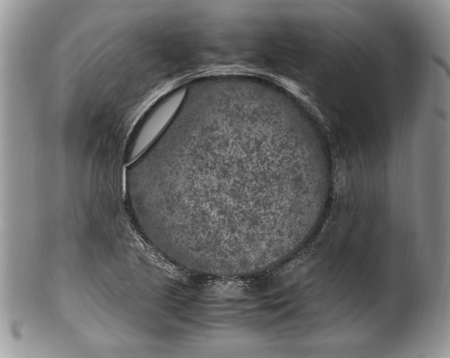 X0000099931221200806131355