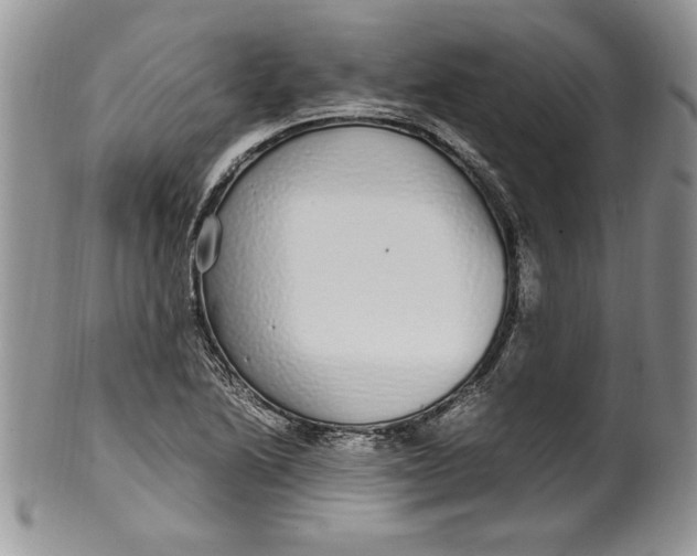 X0000099931222200806131355