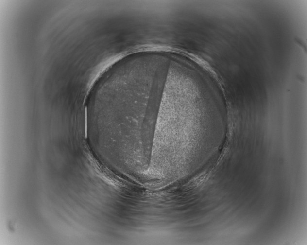 X0000099931223200806131355