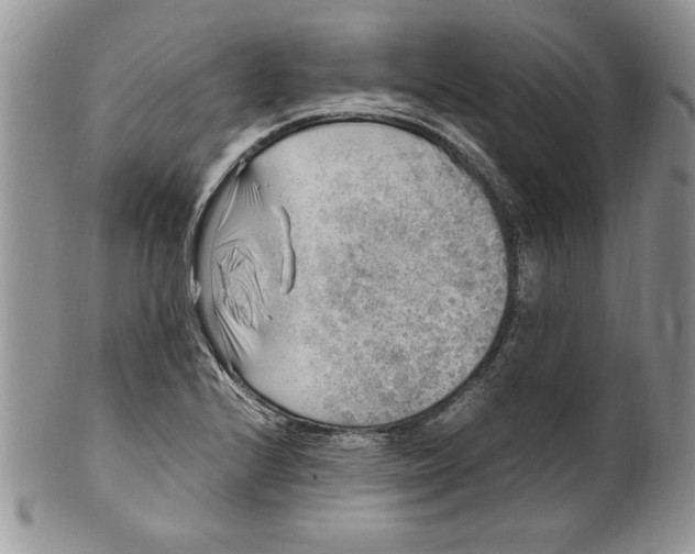 X0000099931224200806131355