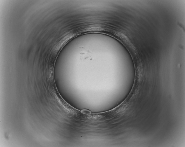 X0000099931225200806131355