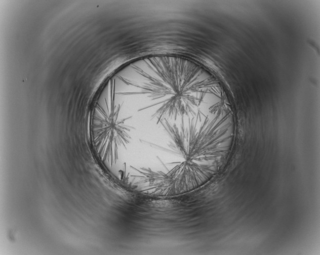 X0000099931227200806131355