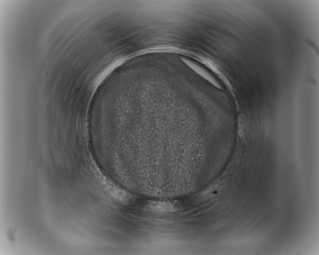 X0000099931229200806131355