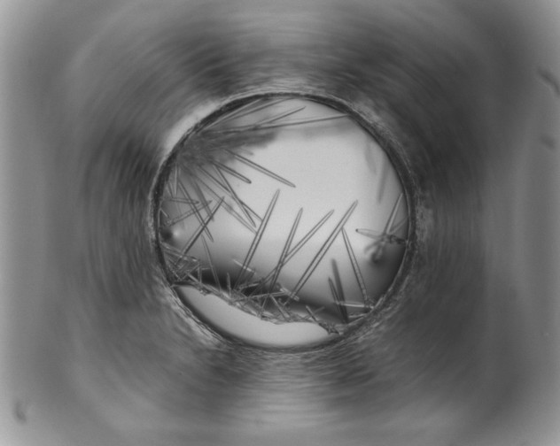 X0000099931230200806131355