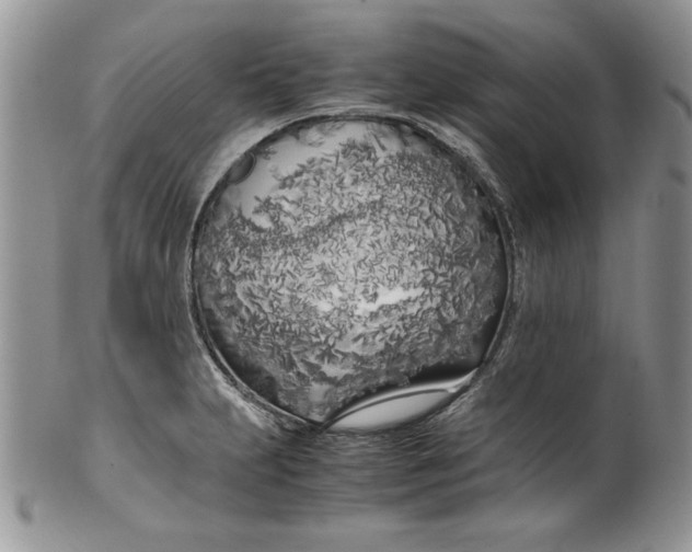 X0000099931231200806131355