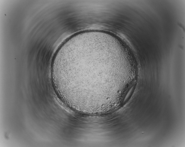 X0000099931232200806131355