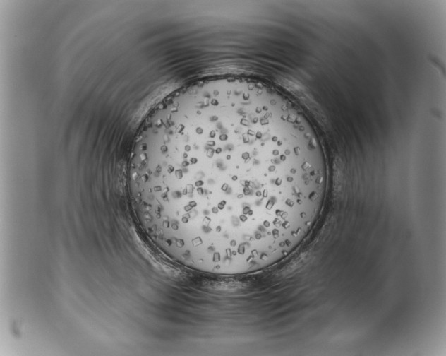 X0000099931233200806131355