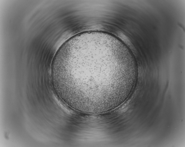 X0000099931234200806131355