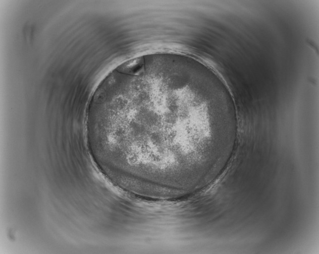 X0000099931235200806131355