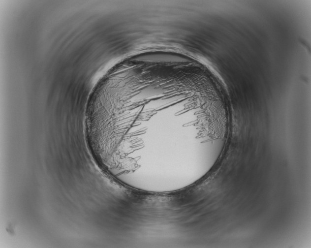 X0000099931237200806131355