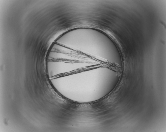 X0000099931238200806131355