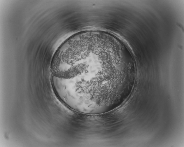 X0000099931239200806131355