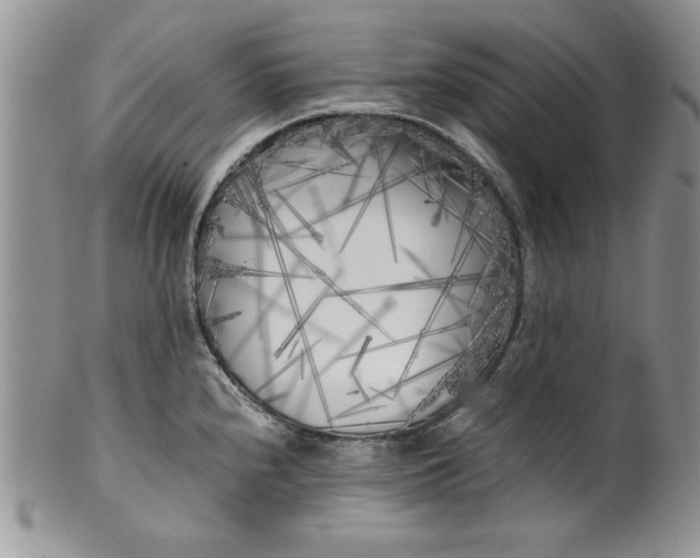 X0000099931240200806131355