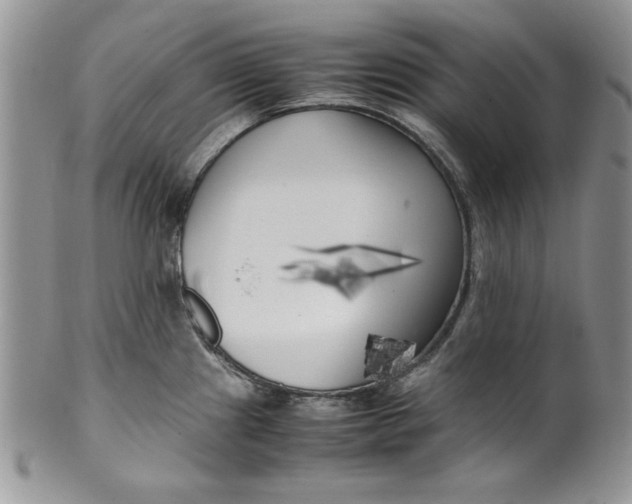 X0000099931241200806131355