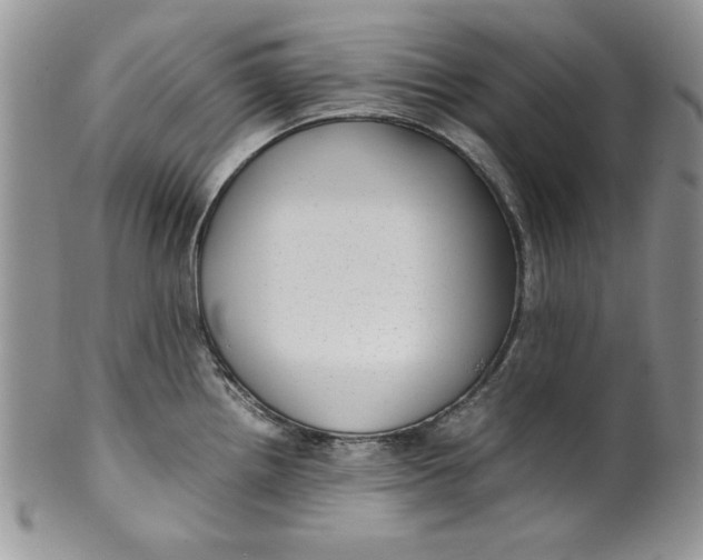 X0000099931242200806131355