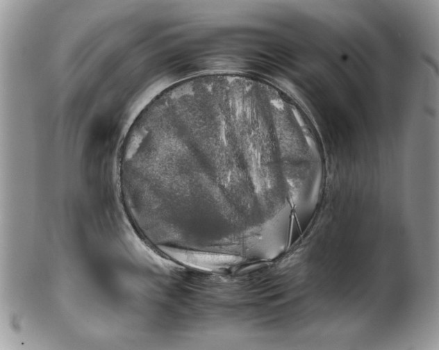 X0000099931243200806131355