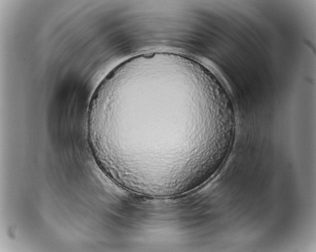 X0000099931244200806131355