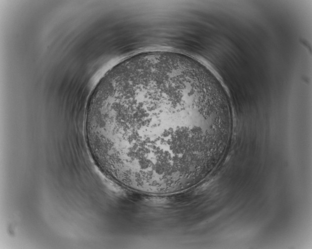 X0000099931245200806131355