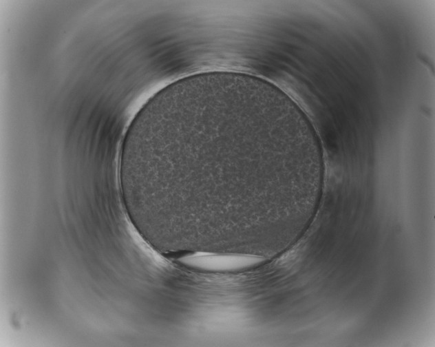 X0000099931246200806131355