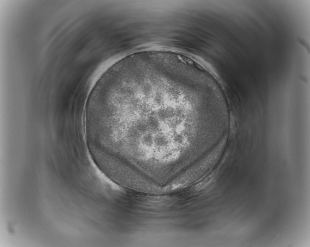 X0000099931247200806131355