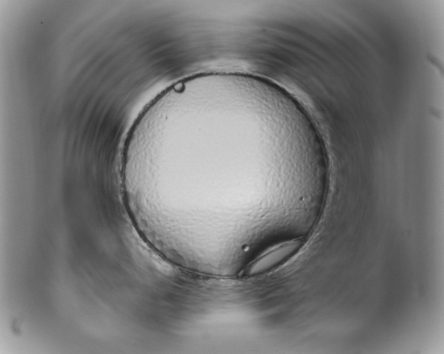 X0000099931248200806131355