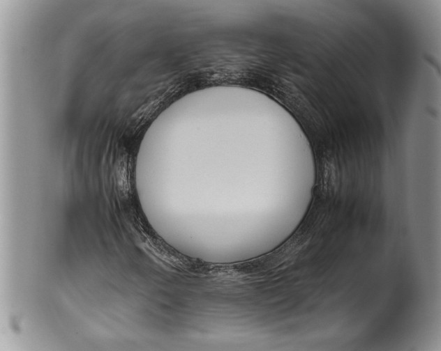 X0000099931250200806131354