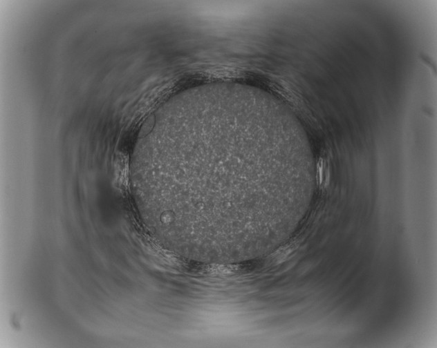 X0000099931251200806131354