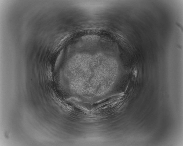 X0000099931252200806131354