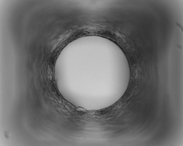 X0000099931253200806131354