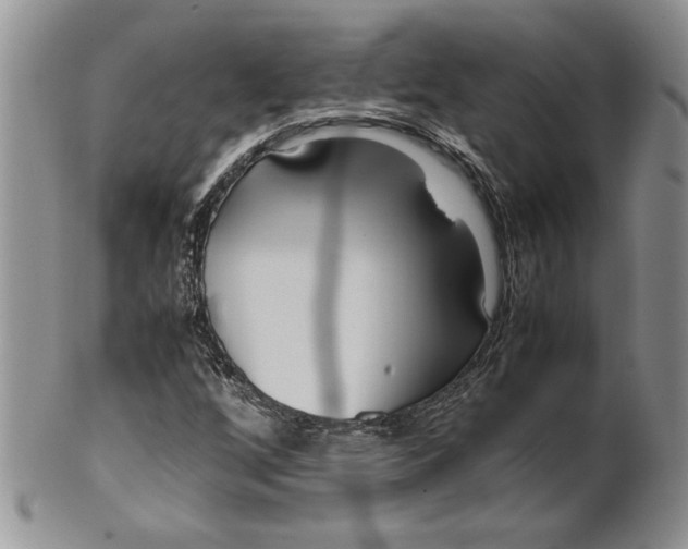 X0000099931256200806131354