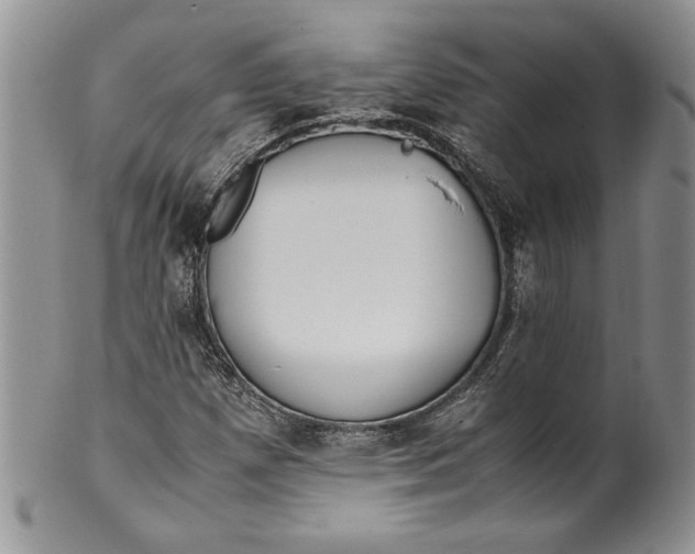 X0000099931257200806131354