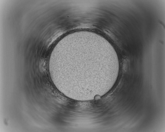 X0000099931258200806131354