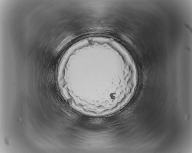 X0000099931259200806131354