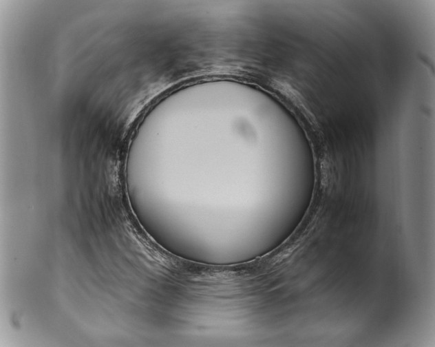 X0000099931260200806131354