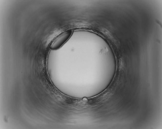 X0000099931261200806131354