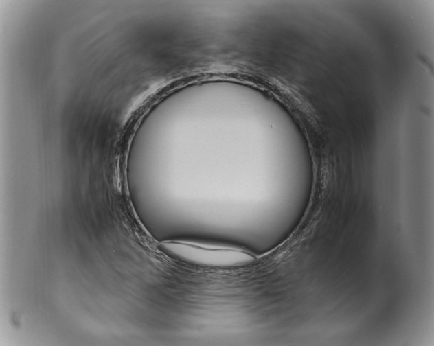 X0000099931262200806131354